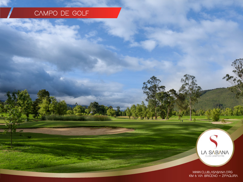 Campo-golf-3